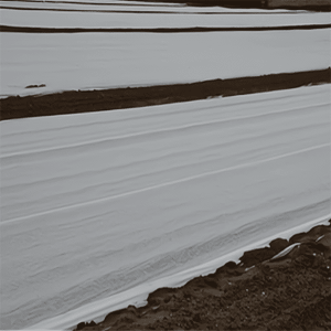 геотекстиль